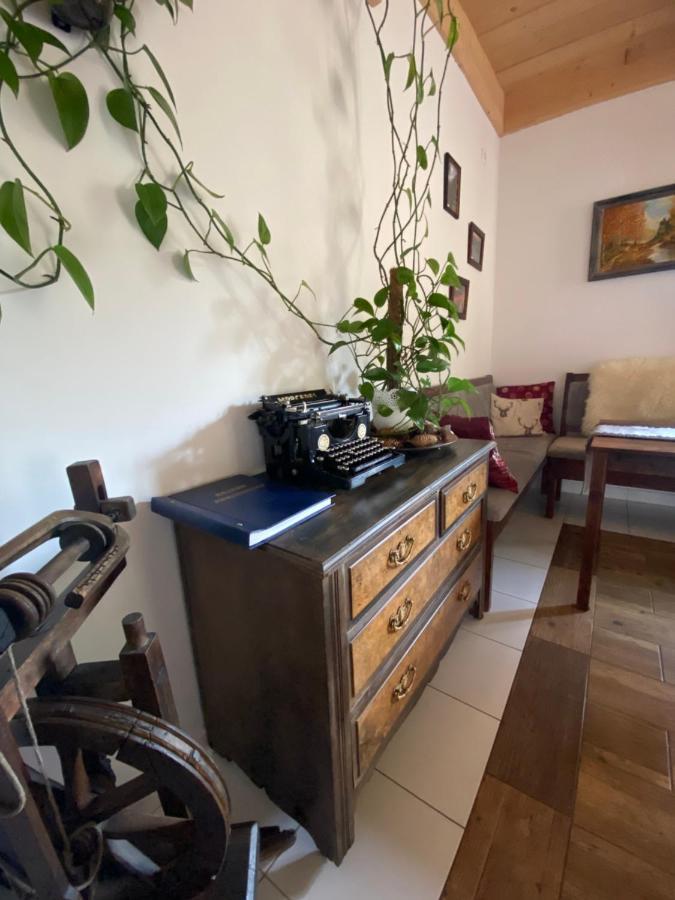 Agroturystyka Sarni Stok Krynica Zdroj Exterior photo