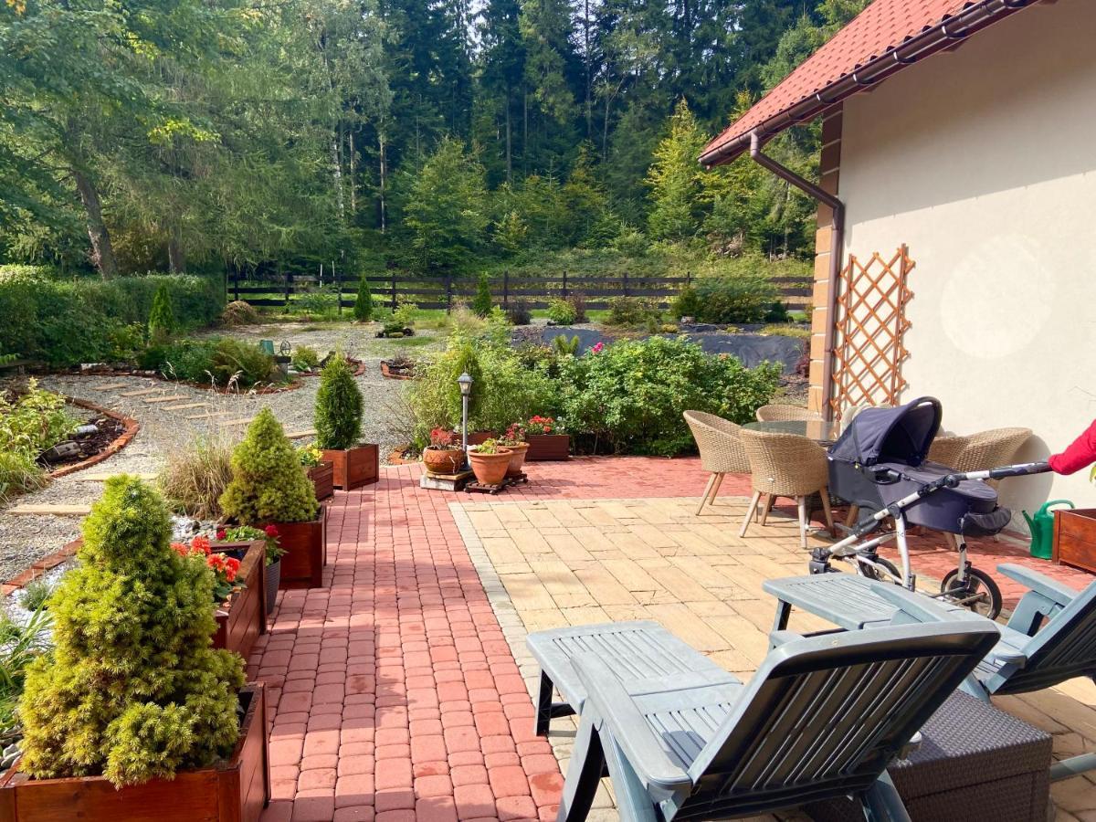 Agroturystyka Sarni Stok Krynica Zdroj Exterior photo