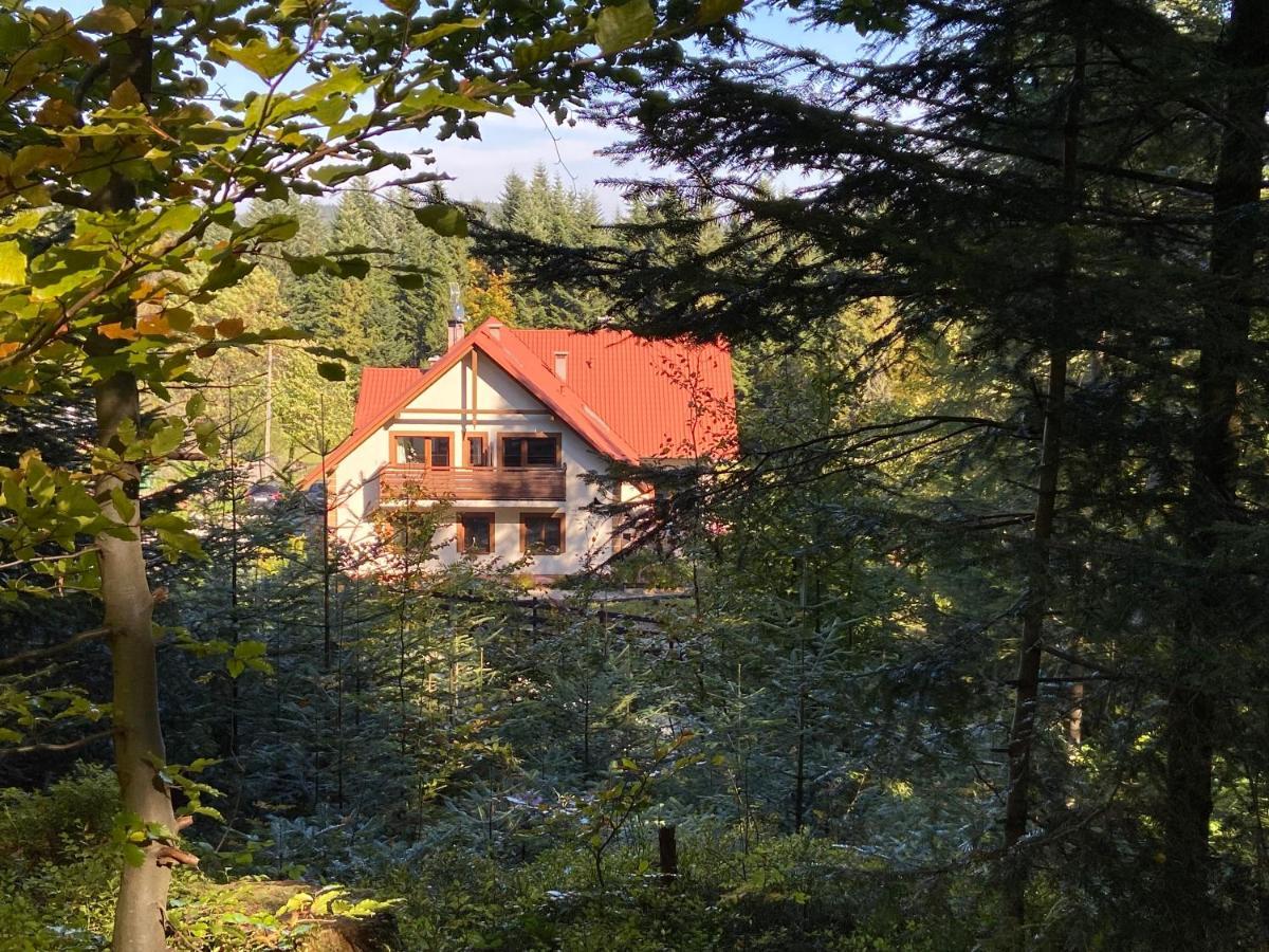 Agroturystyka Sarni Stok Krynica Zdroj Exterior photo